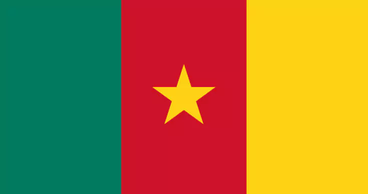 flag-of-cameroon